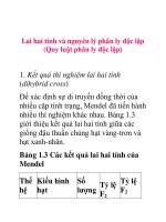 Tài liệu Lai hai tính và nguyên lý phân ly độc lập pptx