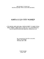 Cây dược liệu bản địa thách thức và khả năng phát triển trên đất canh tác của người bana tại xã KonPNe huyện kbang, tỉnh gia lai 