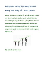 Tài liệu Bao giờ thì những thị trường mới nổi không còn “đang nổi” nữa?-phần2 ppt