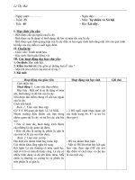 Gián án Giáo án TNXH 3 tuần 24 - 28