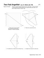 Tài liệu Nghệ thuật xếp hình Nhật Bản: Two Fold Angelfish doc