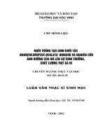 Nuôi trồng tạo sinh khối tảo nanochloropsis oculata hibberd và nghiên cứu ảnh hưởng của nó lên sự sinh trưởng, chất lượng thịt gà ri luận văn thạc sĩ sinh học 