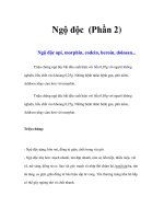 Tài liệu Ngộ độc (Phần 2) pptx