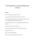 Tài liệu Hồ sơ thẩm định báo cáo trình công nhận chỉ tiêu trữ lượng ppt