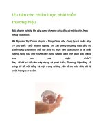 Tài liệu Ưu tiên cho chiến lược phát triển thương hiệu pptx