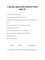 Tài liệu Cấp giấy phép kinh doanh lữ hành quốc tế. docx