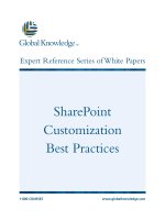Tài liệu SharePoint Customization Best Practices ppt