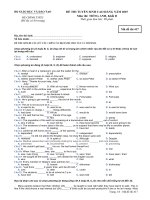 Tài liệu Đề thi CĐ môn Tiếng Anh khối D 2007 M417 doc