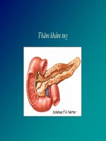 Tài liệu BÀI GIẢNG: THĂM KHÁM TỤY pdf