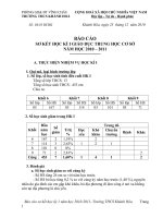 Tài liệu Báo cáo HKI 10-11 nộp PGD