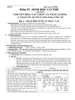 Bài giảng ga sinh11