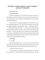 Tài liệu Gây giống và nuôi bán nhân tạo sò huyết (Tegillarca granosa) ở Trung Quốc doc