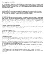 Tài liệu Năm dạng phun của núi lửa doc