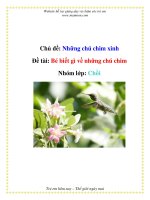 Tài liệu Chủ đề: Những chú chim xinh - Đề tài: Bé biết gì về những chú chim - Nhóm lớp: Chồi ppt