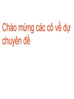 Bài soạn Bai qua thi
