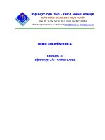 Tài liệu Bệnh hại cây khoai lang pptx