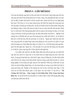 Thị trường mở việt nam – thực trạng và giải pháp phát triển trong giai đoạn hiện nay 