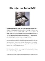 Tài liệu Bán chịu - con dao hai lưỡi! doc