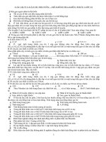 Gián án day them nam hoc 11