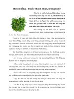 Tài liệu Rau muống - Thuốc thanh nhiệt, lương huyết docx