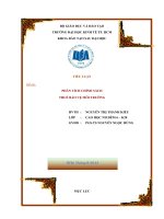 PHÂN TÍCH CHÍNH SÁCH THUẾ bảo vệ môi TRƯỜNG 