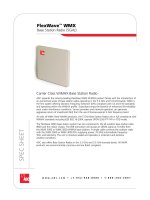 Tài liệu FlexWave™ WMX pptx