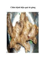 Tài liệu Chữa bệnh hiệu quả từ gừng doc