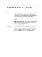 Tài liệu What Is XQueryX? pptx