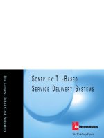 Tài liệu SONEPLEX T1-B ASED SERVICE DELIVERY SYSTEMS pptx