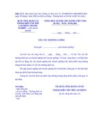 Tài liệu BIỂU MẪU 