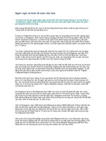 Tài liệu Ngôn ngữ và kinh tế toàn cầu hóa ppt