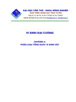 Tài liệu Vi sinh đại cương P4 ppt