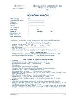 Tài liệu Hợp đồng thử việc ppt