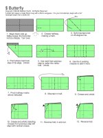 Tài liệu Nghệ thuật xếp hình Nhật Bản:butterfly pdf