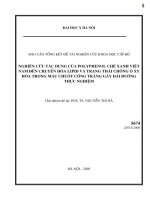 Nghiên cứu các giải pháp tổng thể phát triển kinh tế xã hội và bảo vệ môi trường vùng tây nguyên trong tình hình mới 