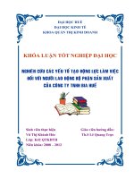 Nghiên cứu các yếu tố tạo động lực làm việc đối với người lao động bộ phận sản xuất của công ty TNHH bia huế 