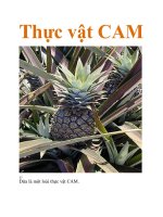 Tài liệu Tự nhiên,sinh học,thực vật cam,sa mạc,khô hạn,quang hợp pdf