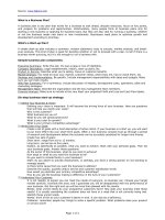 Tài liệu Business Plan guidelines ppt