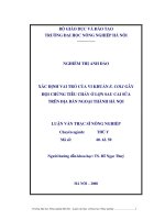 Xác định vai trò của vi khuẩn ecoli gây hội chứng tiêu chảy ở lợn cai sữa trên địa bàn ngoại thành hà nội 