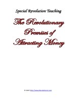 Tài liệu Special Revolution Teaching Money docx