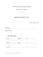 Tài liệu Mẫu hợp đồng cho mượn tái sản pptx