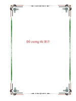 Tài liệu Đề cương thi B15 doc