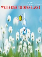 Bài soạn Unit 5 Section A 1,2,3