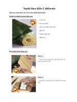 Tài liệu Sushi theo kiểu California docx