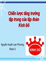 Chiến lược tăng trưởng tập trung của tập đoàn kinh đô 