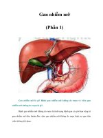 Tài liệu Gan nhiễm mỡ (Phần 1) docx