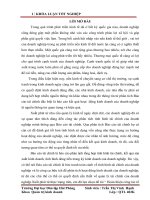 Hoàn thiện công tác tổ chức kế toán lập và phân tích báo cáo kết quả hoạt động kinh doanh tại công ty cổ phần tư vấn đầu tư xây lắp điện quang linh 