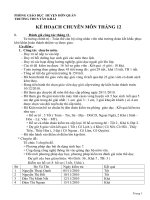 Gián án kế hoạch chuyên môn tháng 12 năm 2010