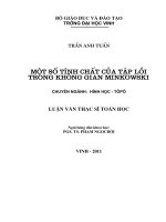 Một số tính chất của tập lồi trong không gian minkowski luận văn thạc sỹ toán học 