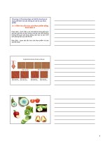 VẬT lý THỰC PHẨM   CHƯƠNG 3 -Phương pháp và thiết bị thường sửdụng để kiểm tra các thông số vật lý của thực phẩm